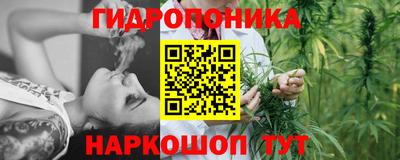 стафф Уссурийск